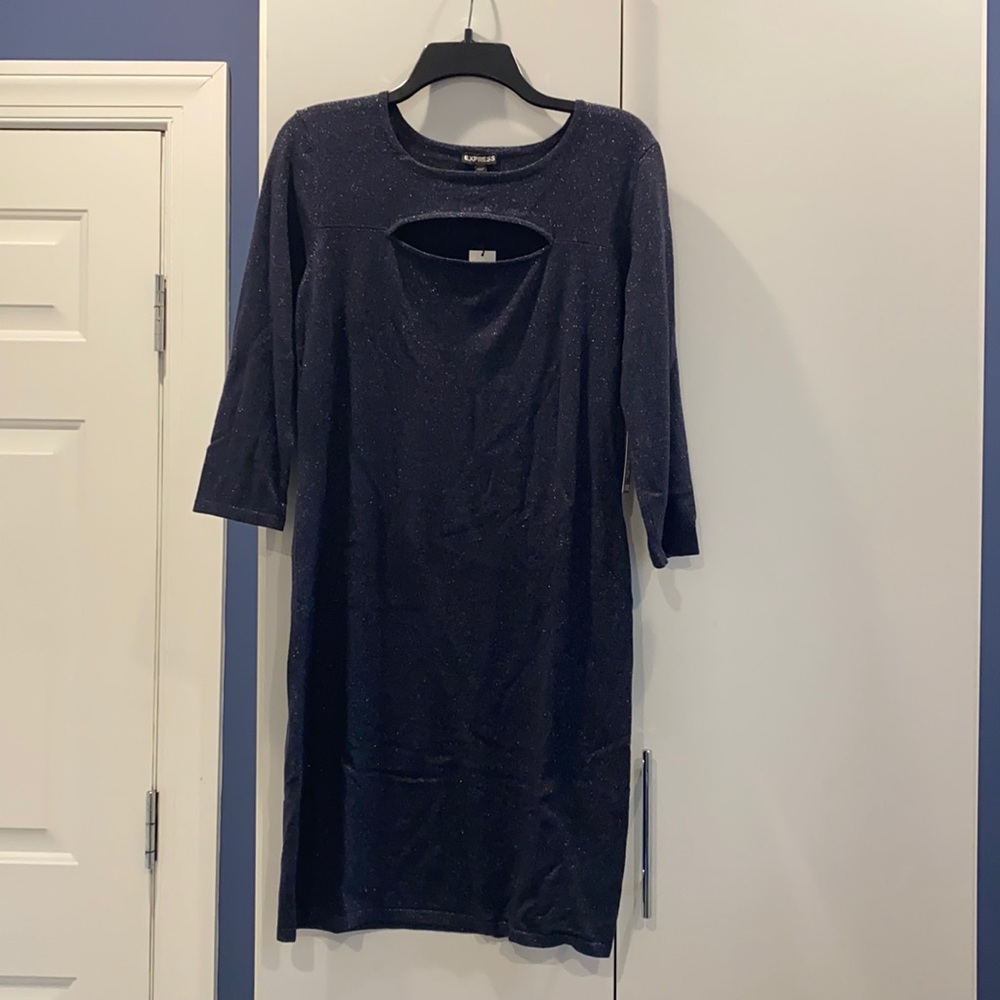 Express shimmery navy blue dress